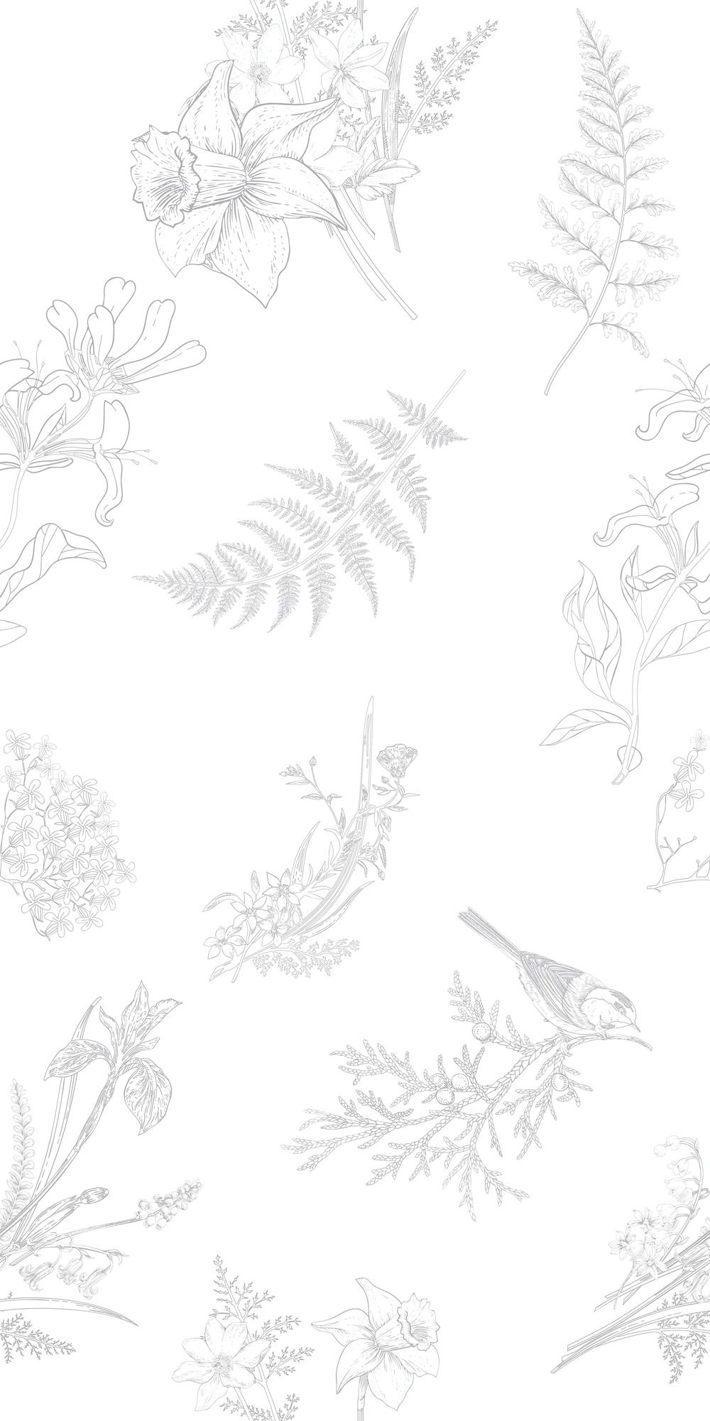 TVC26G1970 鶯歌燕語